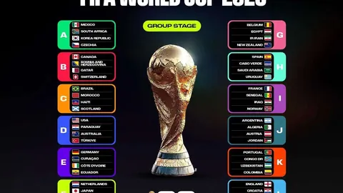 2026年度小成本电影崛起，院线发行子公司全面